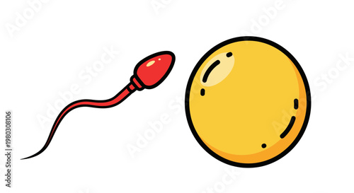 Sperm cell approaching egg cell for fertilization, science illustration