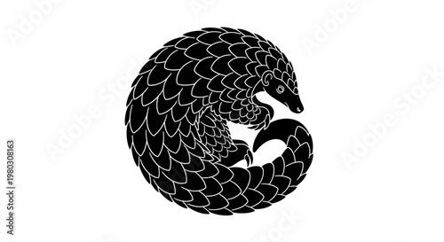Stylized Silhouette of a Pangolin Curled Up, Black and White Vector Art