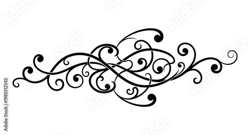 Black swirling floral decorative design element.