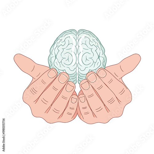 Hands holding a human brain model.