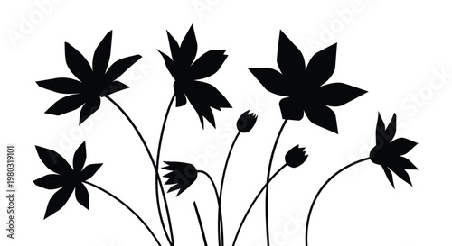 A group of flowers with multiple petals and stems