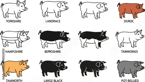 Varieties of Pig Breeds: Yorkshire, Landrace, Duroc, and More