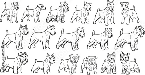 Terrier Dog Breeds Icon Set Featuring Various Terriers like Schnauzer, Pug, and More for Pet, Animal, and Breed Design Projects