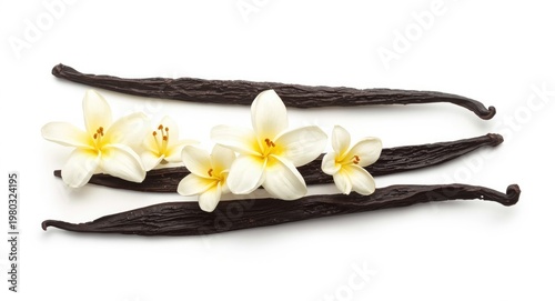 Vanilla pods and blossoms isolated on a clean white background