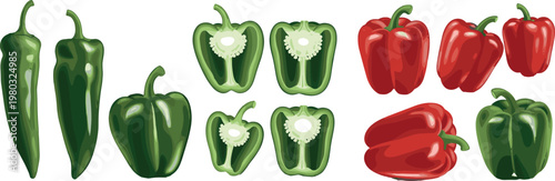 Green and red bell peppers whole and sliced fresh capsicum vegetable collection detailed vector illustration set isolated
