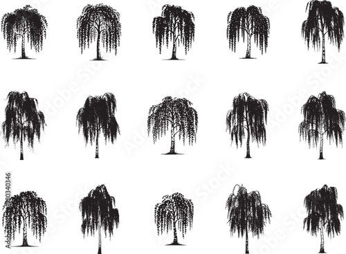 Birch Tree Svg Bundle