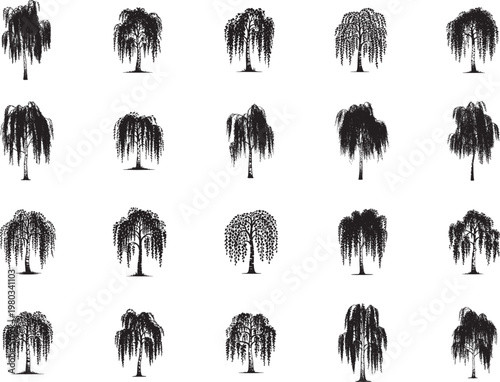 Birch Tree Svg Bundle