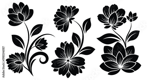 Vászonkép Black silhouettes of flowers and leaves on stems