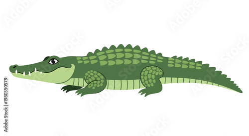 Green cartoon crocodile side view.
