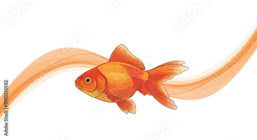 Vibrant Orange Goldfish Swimming Alone.