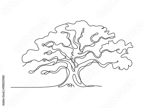 Stylized single line drawing of a mature tree with a lush crown