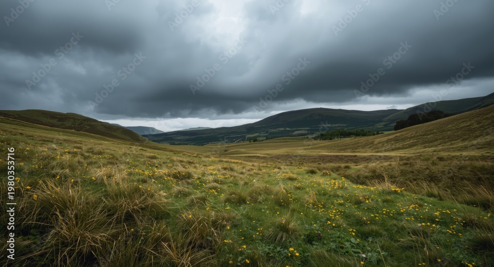 Fototapeta premium Dark clouds approaching a vibrant meadow surrounded by soft hills