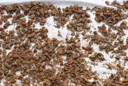 Turmeric pieces kept for drying in the sun. Processing method of organically grown turmeric