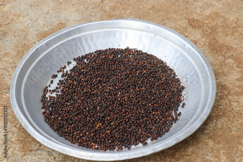 Black pepper corns harvested from its plant and kept for drying in the sun on a aluminum plate