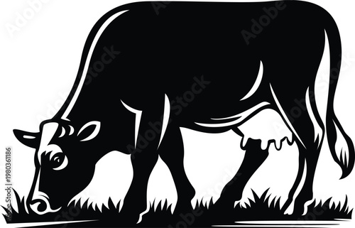 Black and white illustration of a cow grazing isolated on white background