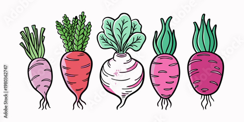Colorful root vegetables doodle set with beetroot turnip and radish hand drawn