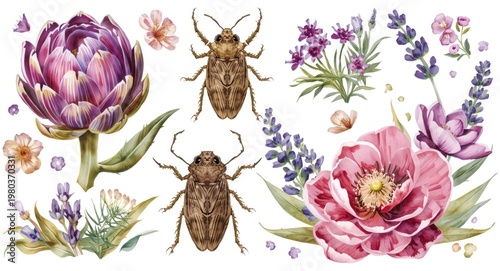 Vintage floral watercolor design with bohemian isolated artichoke cicada and lavender elements for greeting cards