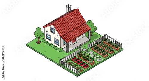 Isometric illustration of a house with garden vegetable patch on white