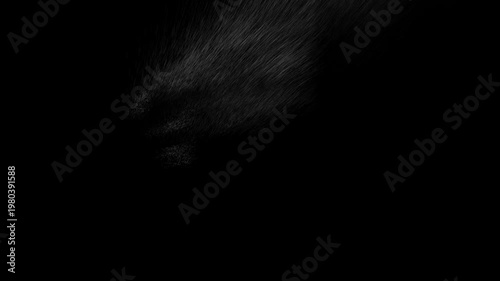 Abstract dark composition with wispy light smoke textures and atmospheric mood.