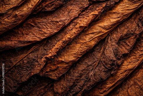 Close up texture background of dried tobacco leaves featuring rich brown hues and natural aging details