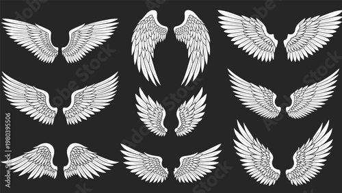 Detailed set of white feathered angel wings in different poses and spans isolated on a dark background for design and mythology.