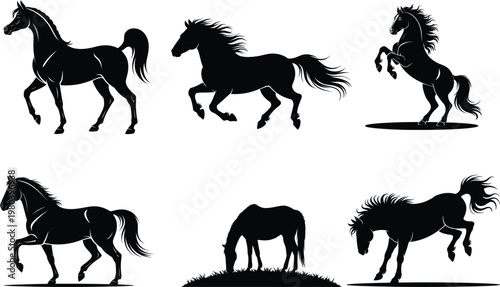 Black silhouettes of horses in various poses and movements