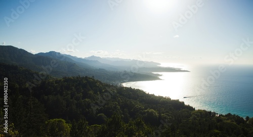 Sunlit summer scene with gr...