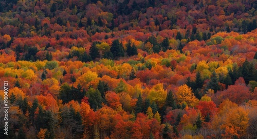 Vivid fall mountain terrain...