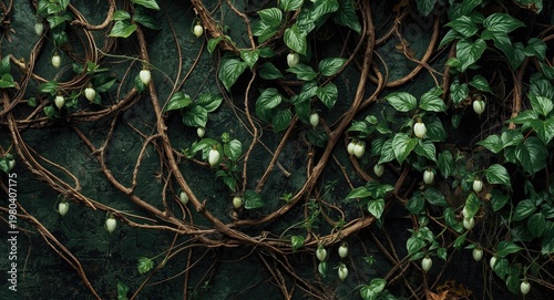 Twisted jungle vines suppor...