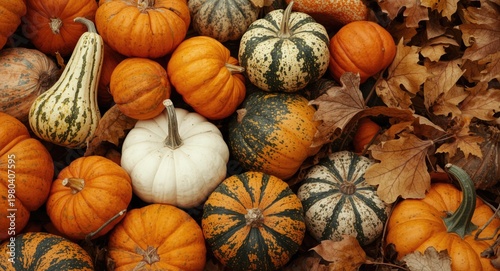 Thanksgiving and Halloween ...