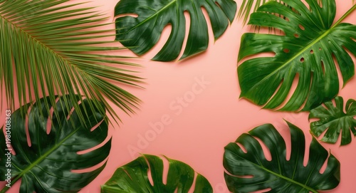 Top angle view of tropical ...
