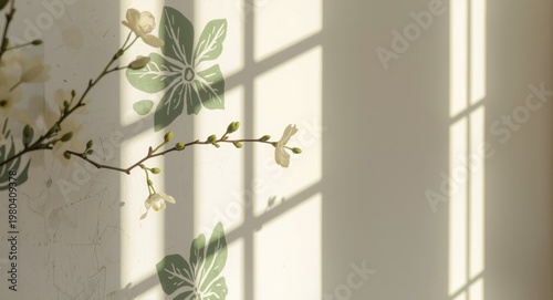 Spring morning sun illumina...