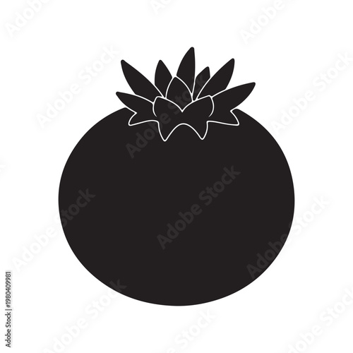 Longkong silhouette vector flat illustration design.
