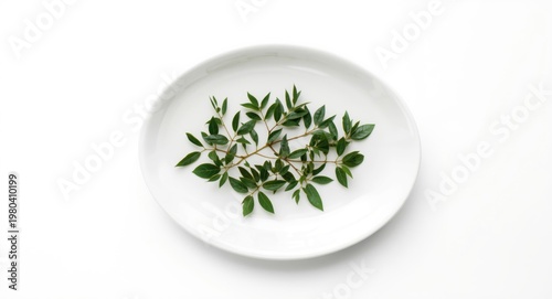 White oval ceramic plate ce...