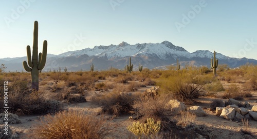 Wide open dry landscape sho...