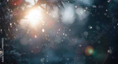 Sunlight and snowflake deta...