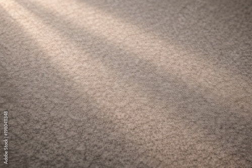 Warm grey felt texture back...