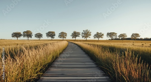 Wooden trail cutting throug...