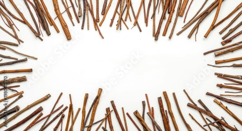 Assortment of twig sticks s...