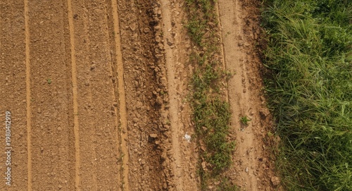 Wavy farmland track bordere...