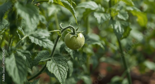 Macro perspective on fresh ...