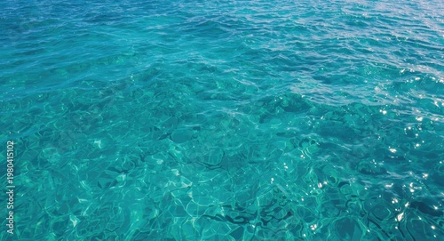 Tropical coastline showing ...