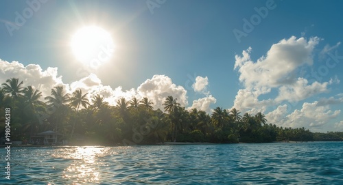 Sunlit tropical shore with ...
