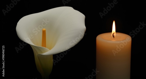 White calla lily displayed ...