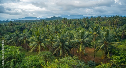 Tropical farm landscape wit...