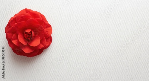 Red camellia floral art fea...