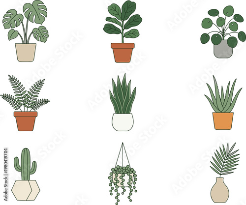 Step-by-step visual guide to brewing pour-over coffee at home with detailed instructions for a perfect cup