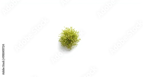 White background showcasing...