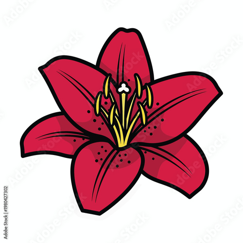 Red Lily Flower Closeup View.