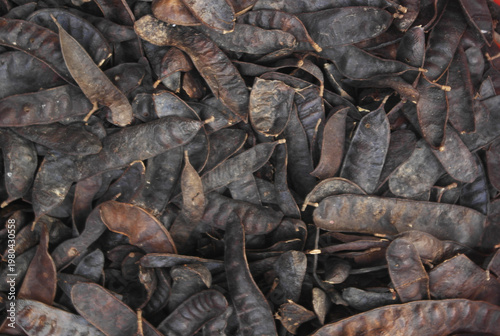 Photography Black locust fruit close up as background